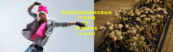 2c-b Белокуриха