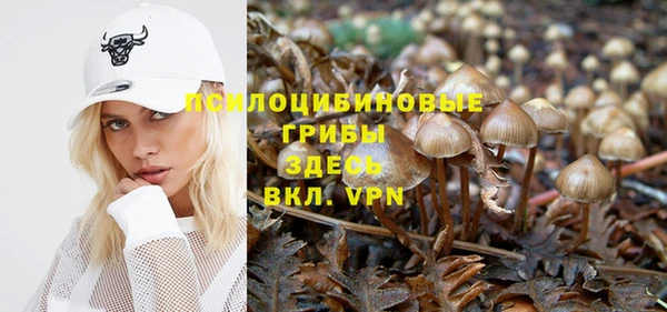 2c-b Белокуриха
