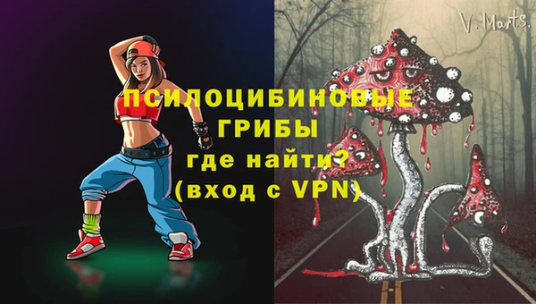 2c-b Белокуриха
